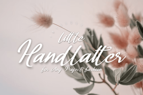 Handlatter Little: The Elegant Typeface That Transforms Small Business Branding