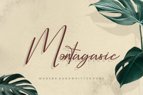 Montagasic: A Stylish Script Font for Modern Web Design