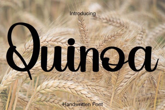Quinoa: The Elegant Handwritten Font for Your Brand Identity
